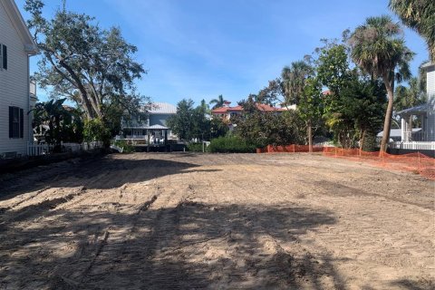 Land in Tampa, Florida № 1724556 - photo 2