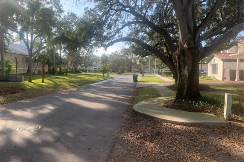 Land in Tampa, Florida № 1724556 - photo 7