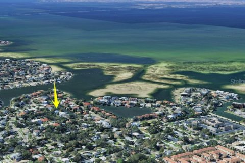 Land in Tampa, Florida № 1724556 - photo 11