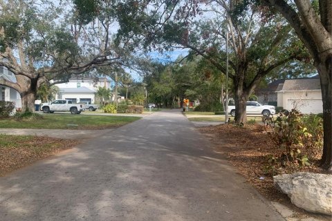 Land in Tampa, Florida № 1724556 - photo 8