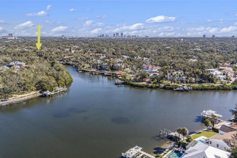 Land in Tampa, Florida № 1724556 - photo 5