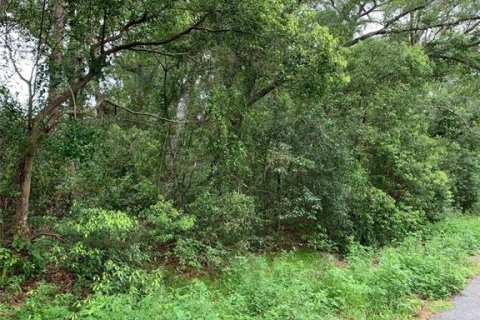 Land in Sorrento, Florida № 1815350 - photo 4