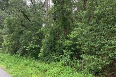 Land in Sorrento, Florida № 1815350 - photo 2