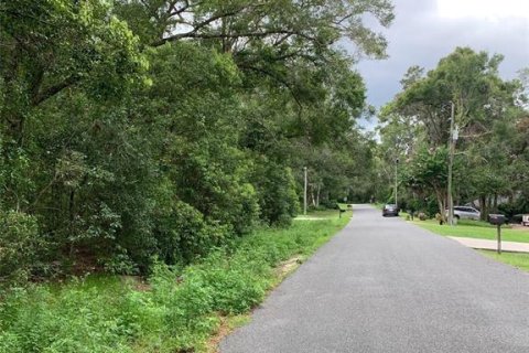 Land in Sorrento, Florida № 1815350 - photo 5