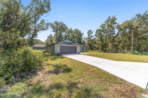 Villa ou maison à vendre à Ocklawaha, Floride: 3 chambres, 152.92 m2 № 1916759 - photo 3