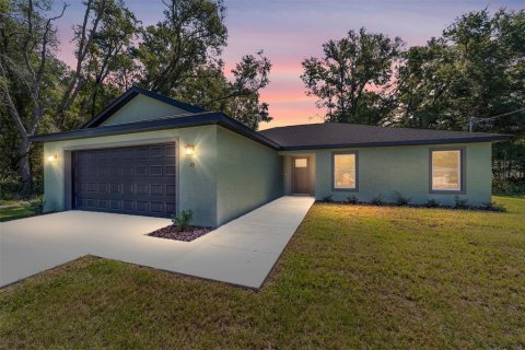 Villa ou maison à vendre à Ocklawaha, Floride: 3 chambres, 152.92 m2 № 1916759 - photo 1