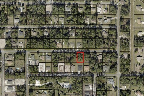 Land in Palm Bay, Florida № 2160476 - photo 2
