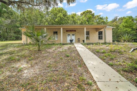 House in Eustis, Florida 6 bedrooms, 471.11 sq.m. № 1628508 - photo 19