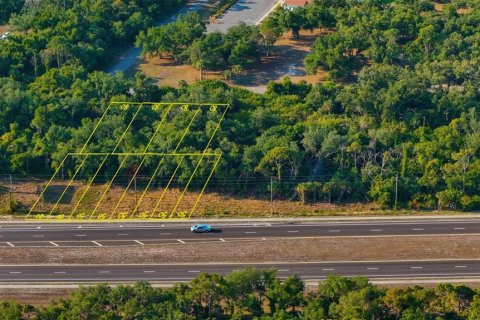 Land in Port Charlotte, Florida № 1783392 - photo 16