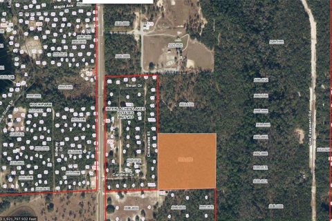 Land in Interlachen, Florida № 2356067