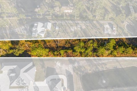 Land in Orlando, Florida № 1832941 - photo 6
