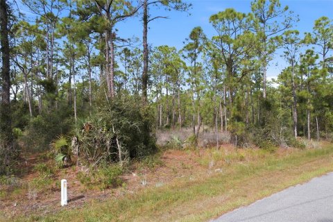 Land in North Port, Florida № 2161589 - photo 2