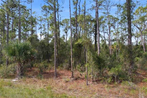 Land in North Port, Florida № 2161589