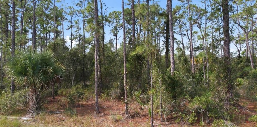 Land in North Port, Florida № 2161589