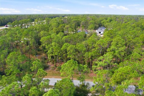 Land in North Port, Florida № 2161589 - photo 4