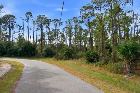 Land in North Port, Florida № 2161589 - photo 3