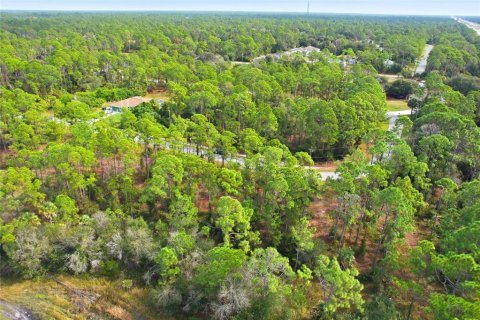 Land in North Port, Florida № 2161589 - photo 8