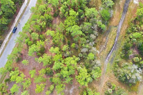 Land in North Port, Florida № 2161589 - photo 11