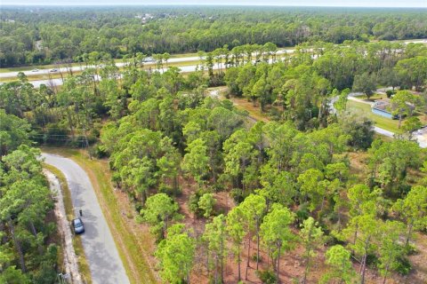 Land in North Port, Florida № 2161589 - photo 6