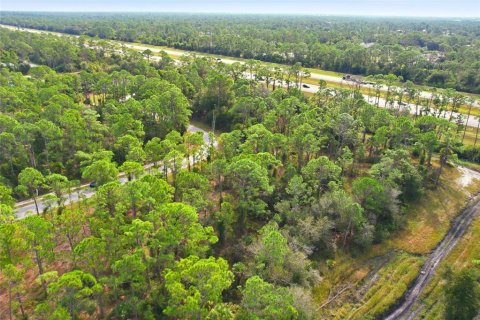 Land in North Port, Florida № 2161589 - photo 7