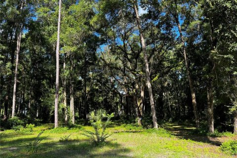 Land in Ocala, Florida № 1851038 - photo 1