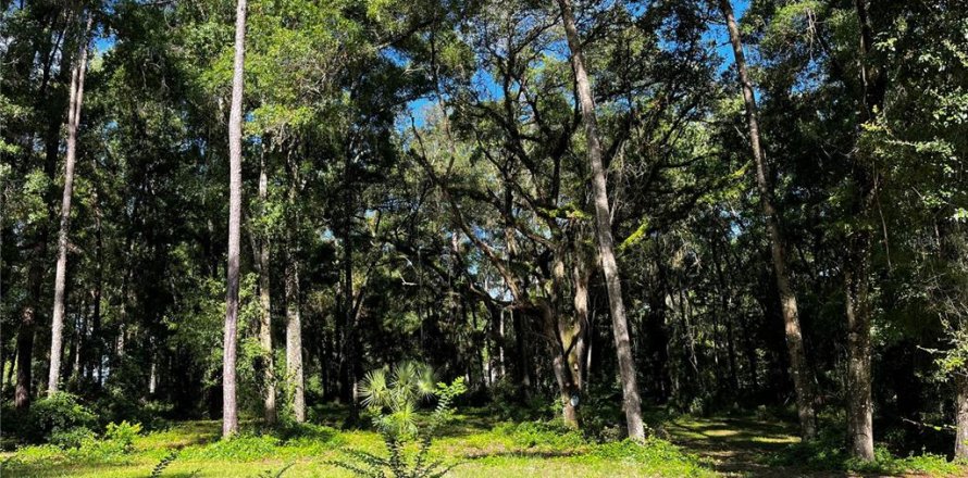 Land in Ocala, Florida № 1851038