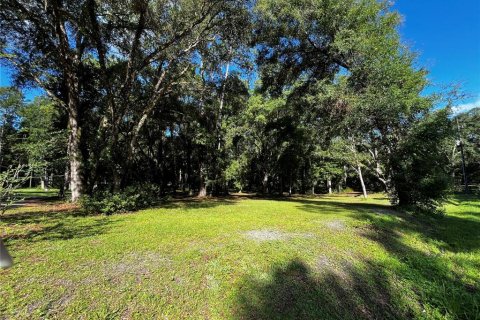 Land in Ocala, Florida № 1851038 - photo 5