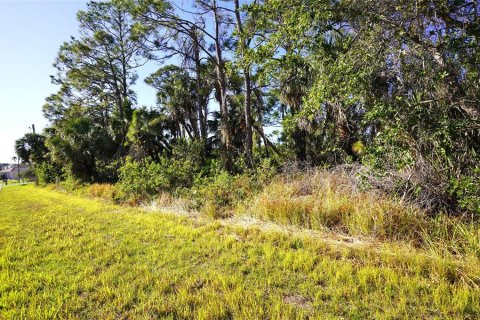Land in Port Charlotte, Florida № 1517771 - photo 6