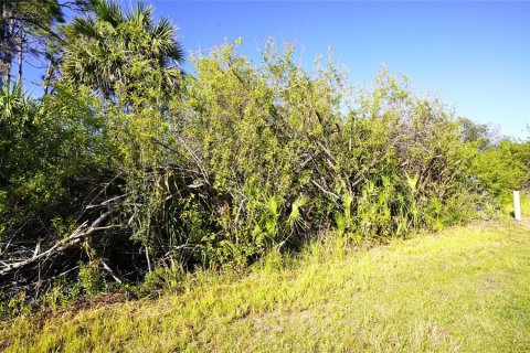 Land in Port Charlotte, Florida № 1517771 - photo 5