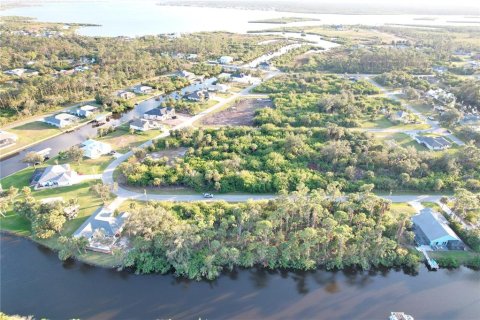 Land in Port Charlotte, Florida № 1517771 - photo 1