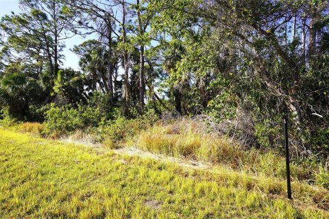 Land in Port Charlotte, Florida № 1517771 - photo 4