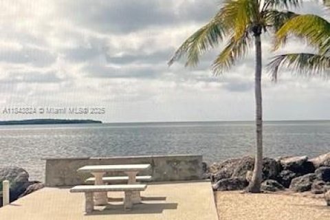 House in Key Largo, Florida 2 bedrooms № 1845998 - photo 22