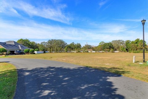 Land in Fruitland Park, Florida № 2213185