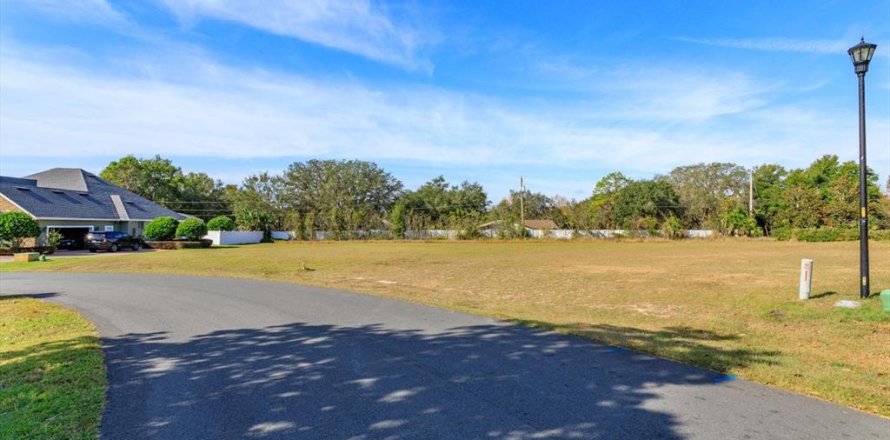 Land in Fruitland Park, Florida № 2213185