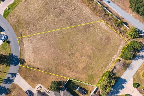 Land in Fruitland Park, Florida № 2213185 - photo 3