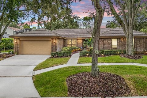 House in Palm Harbor, Florida 4 bedrooms, 336.03 sq.m. № 1910186 - photo 1