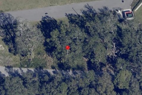 Terreno en alquiler en Kissimmee, Florida № 2103686 - foto 2