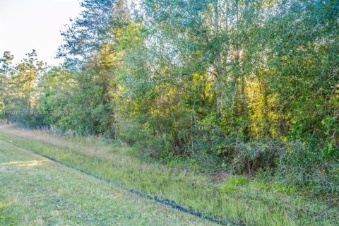 Land in Orlando, Florida № 1823373 - photo 1