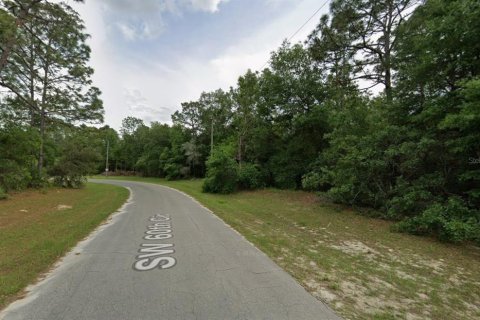 Land in Ocala, Florida № 2370790 - photo 2