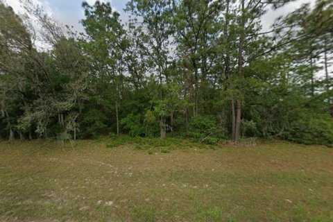 Land in Ocala, Florida № 2370790