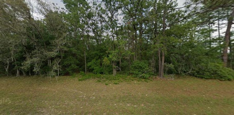 Land in Ocala, Florida № 2370790