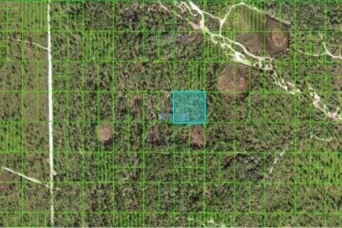 Land in Frostproof, Florida № 2202868 - photo 3