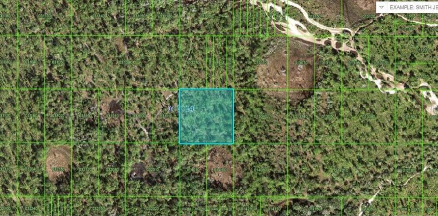 Land in Frostproof, Florida № 2202868
