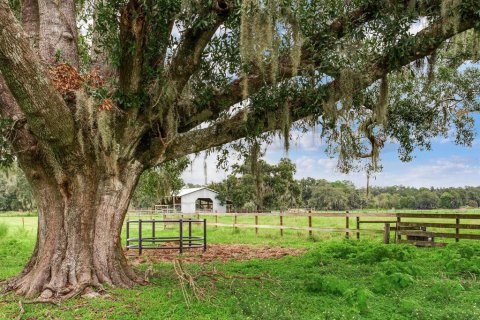 Casa en venta en Plant City, Florida, 3 dormitorios, 139.35 m2 № 1917377 - foto 22