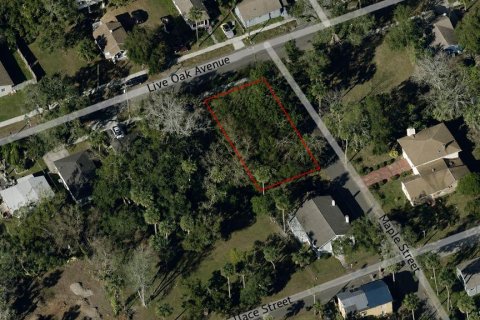 Land in Daytona Beach, Florida № 2221450 - photo 5