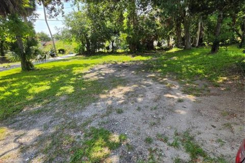 Land in Daytona Beach, Florida № 2221450 - photo 4