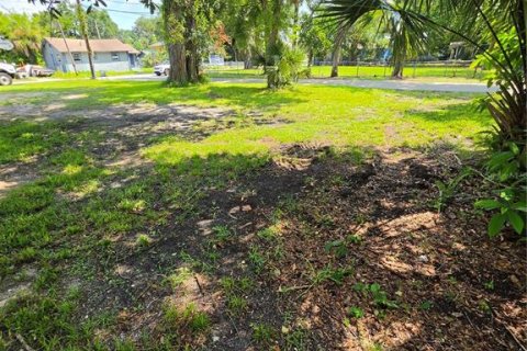 Land in Daytona Beach, Florida № 2221450 - photo 2