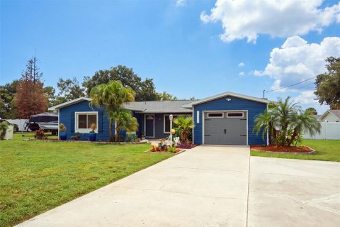 Villa ou maison à vendre à Fruitland Park, Floride: 3 chambres, 138.42 m2 № 2352255 - photo 3