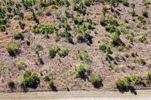 Land in Lake Wales, Florida № 2161864 - photo 3