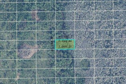 Terreno en venta en Orlando, Florida № 2165560 - foto 2